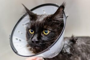 頭皮ケアサロンの料金はどれくらいが相場？